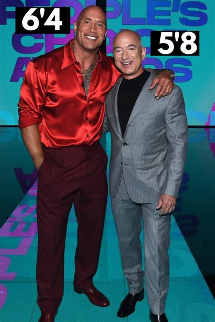 Amir Johnson Height, Weight, Net Worth, Age, Birthday, Wikipedia, Who, Instagram, Biography