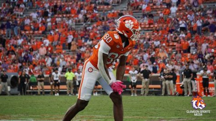 
Clemson Wide Receiver Beaux Collins: 6 Facts You Need To Know 