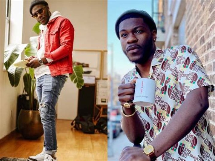 Dometi Pongo Height, Weight, Net Worth, Age, Birthday, Wikipedia, Who, Nationality, Biography