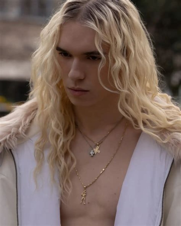 Dylan Hollis Height, Weight, Net Worth, Age, Birthday, Wikipedia, Who, Instagram, Biography