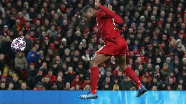 
Georginio Wijnaldum Height, Weight, Net Worth, Age, Birthday, Wikipedia, Who, Nationality, Biography 