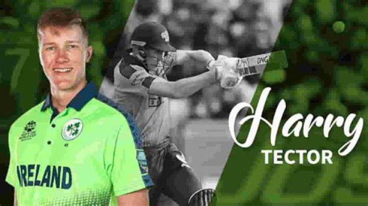 
Harry Tector Height, Weight, Net Worth, Age, Birthday, Wikipedia, Who, Nationality, Biography 