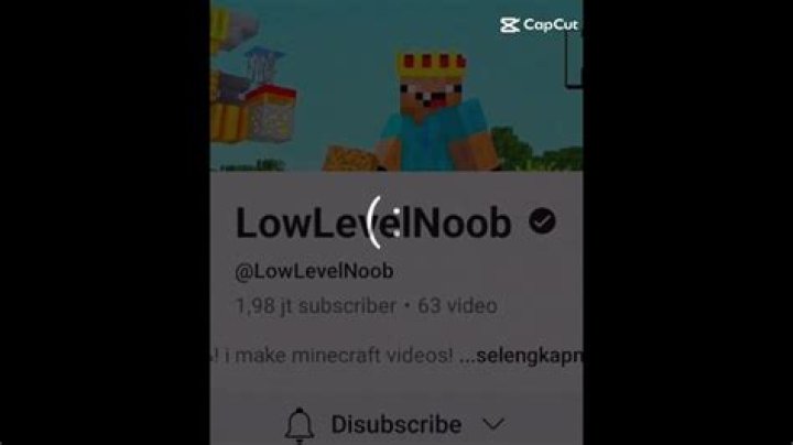 
How Did Lowlevelnoob Pass Away? Youtuber & Streamer Died From COVID Last Year 