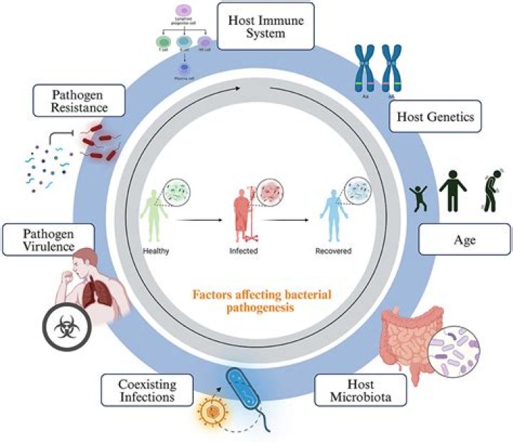 
How Did Sonni Balli Die? Check Cause of Death What Happened To Him? 