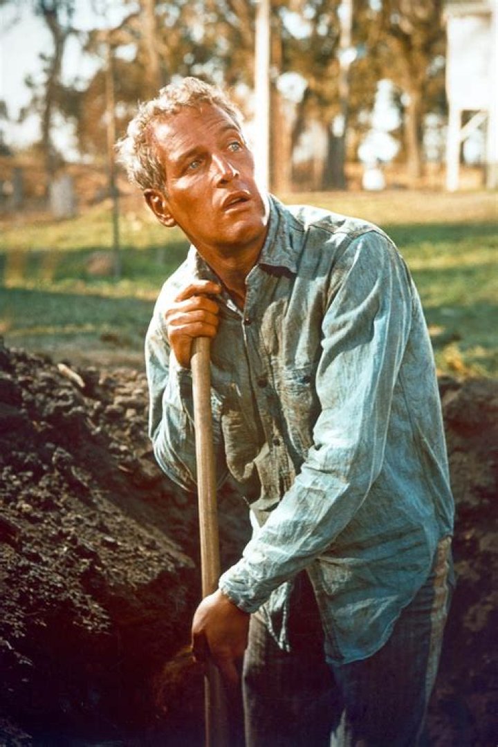 
Is Paul Newman Still Alive? How Old Was Paul Newman When He Died? 