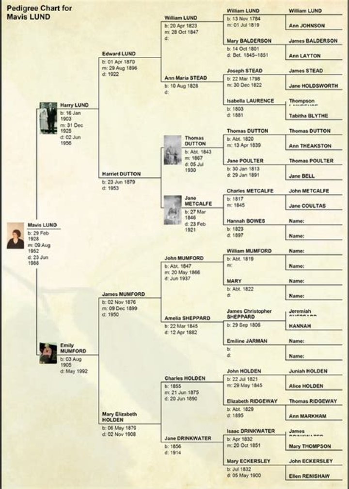 Is Steven Lund Related To Gerald Lund? Family Tree And Net Worth Difference