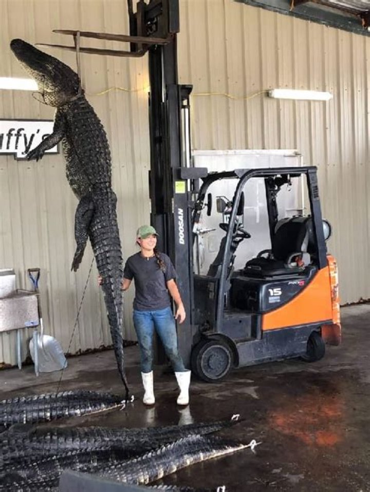 Kara Walker Height, Weight, Net Worth, Age, Birthday, Wikipedia, Who, Instagram, Biography