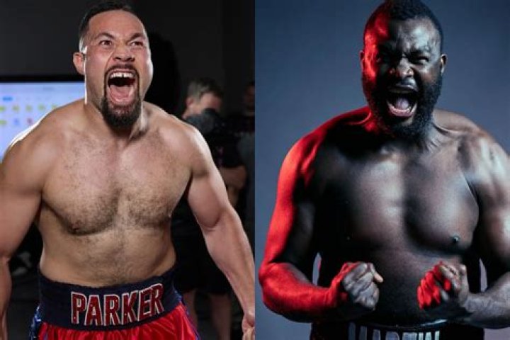 
Martin Bakole Height, Weight, Net Worth, Age, Birthday, Wikipedia, Who, Nationality, Biography 