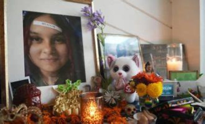 Meadow Goodman Death And Cause: Anderson High School Suicide Case