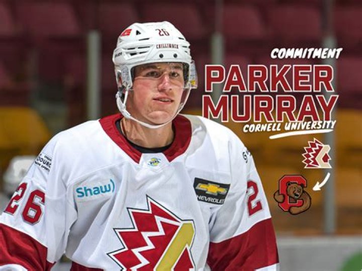 
Parker Holden Age, Birthday, Wikipedia, Who, Nationality, Biography 