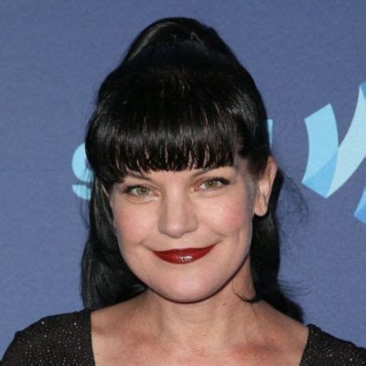 
Pauley Perrette Shared Her Scary Event That Could Have Taken Her Life 