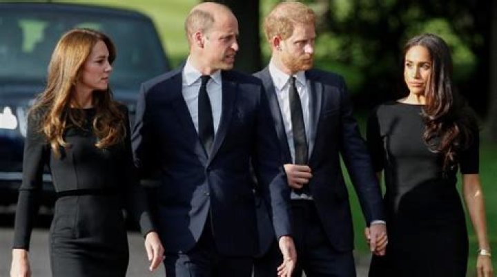 
Prince Harry, Meghan ‘turned car around’ to talk to Kate Middleton, Prince William 