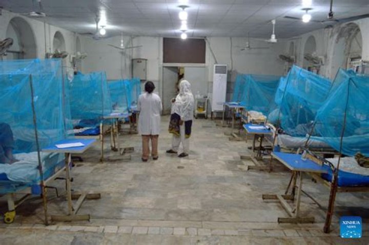 
Surge in dengue fever continues in Pakistan 
