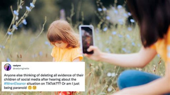 
The Internet Has Opinions About Wren Eleanor’s Mom on Tiktok, What Exactly Did She Do? 