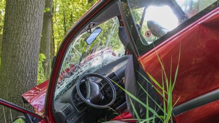 
Three IIT Varanasi students among 7 killed in Himachal accident 