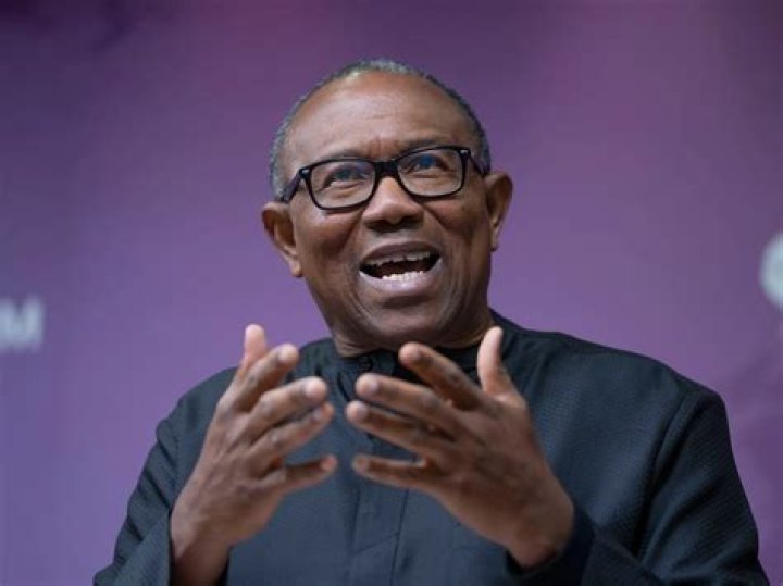 
Uche Jombo Declares Support For Presidential Candidate, Peter Obi 