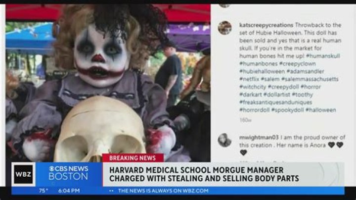 
Who are Katrina MacLean and Joshua Taylor, Cedric Lodge buyers accused in Harvard Medical School body parts case? 