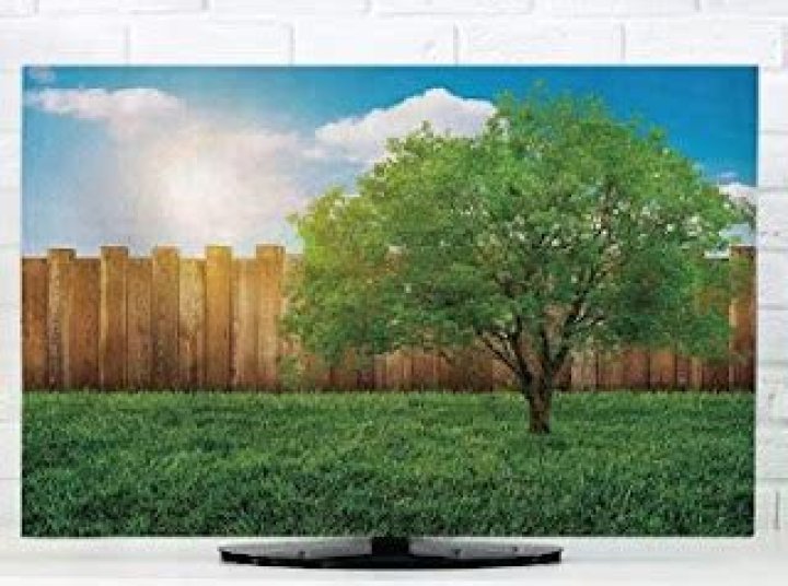 
Who Is Camilla Bassett Smith Partner? TV Horticulturalist’s Age, Husband and Family 