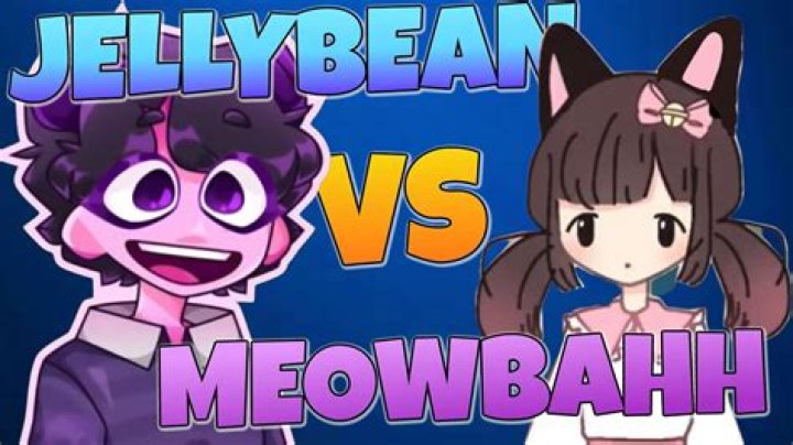 Who Is Meowbahh TikTok And Did JellyBean Really Doxxed Meowbah Face And Real Name?