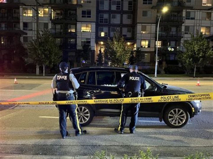 
Who Is Satinder Gill? Langley Shooting And Brothers Keepers Gang Death On Vancouver 