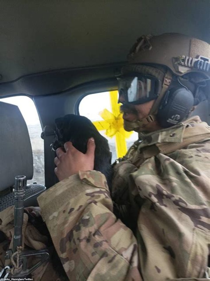 
Who was Cooper “Harris” Andrews? Former US marine killed in Ukraine while evacuating civilians 