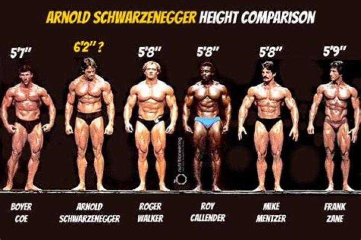 Zoe Arnold Height, Weight, Net Worth, Age, Birthday, Wikipedia, Who, Nationality, Biography